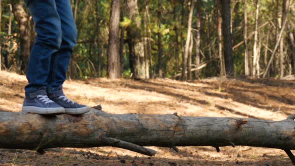 The Child Walks on a Thin Log in the Forest, Developing Agility and Courage