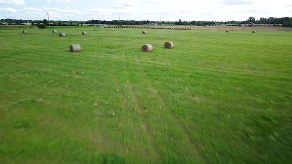 Aerial view hay bales in the green agriculture field, bailed hay drying on ranch land, the straw is