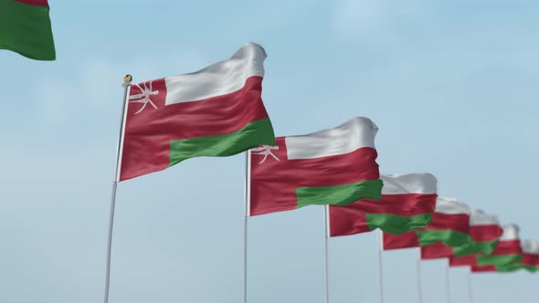 Oman Row Of Flags 