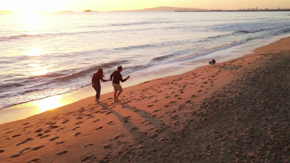 Aerial shot of a couple walking their dog on the beach