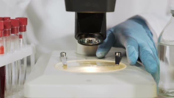 Scientist Lights Up Microscope Stage, Adjusts Objective to View Bacteria Sample