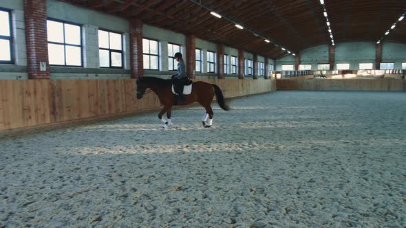 Woman Riding Horse Fast on Arena