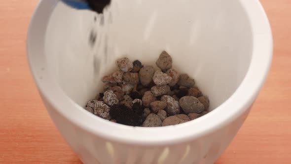 Close-up of earth is poured into a flower pot for planting home plants