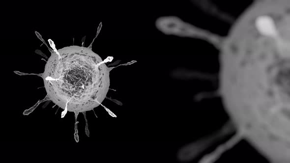 Black and white virus microscopic background with copy space, abstract 3d animation with movement of