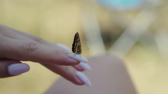 Girl Relax On Comfort Holidays Morning. Playful Butterfly On Finger. Butterfly On Hand.