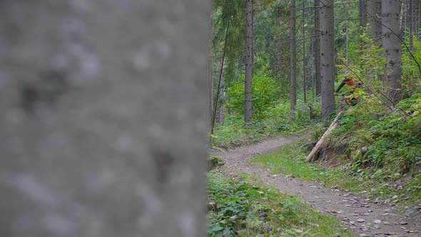 Cyclist Rides in the Woods