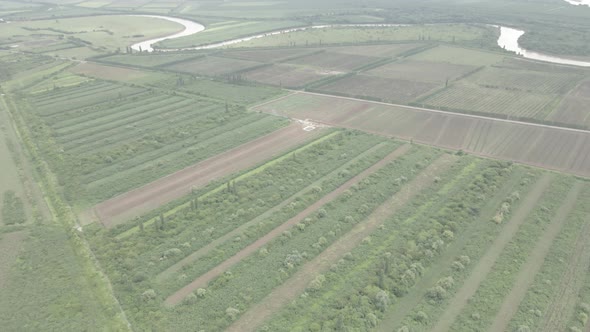 Aerial drone view flight over different agricultural fields sown in Samegrelo, Georgia