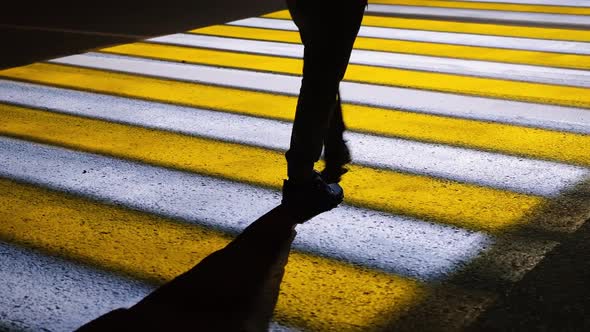 Closeup of a Man's Feet Walking on a Modern Luminous Road Crosswalk at Night