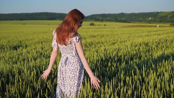 Ginger Woman Walking Through a Wheat Field at Sunset Touching Ears of Wheat