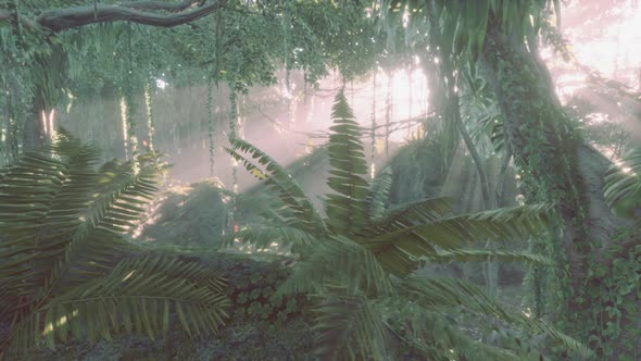 Photo Inside a Rainforest Covered in Bright Green Moss alt