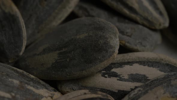 Cinematic, rotating shot of sunflower seeds on a white surface - SUNFLOWER SEEDS 025