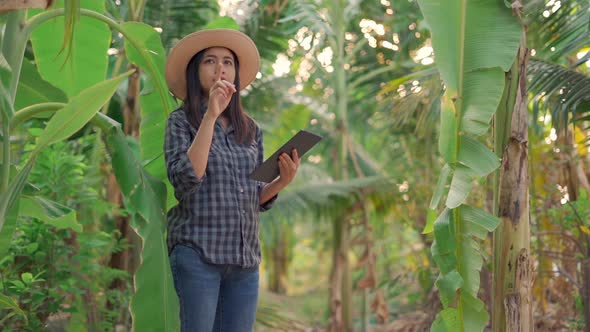 Young woman farmer monitoring orchard and sends data to the cloud from the tablet
