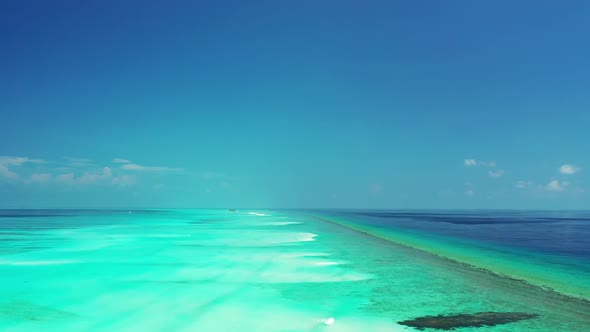 Aerial drone shot seascape of beautiful shore beach wildlife by turquoise water and white sand backg