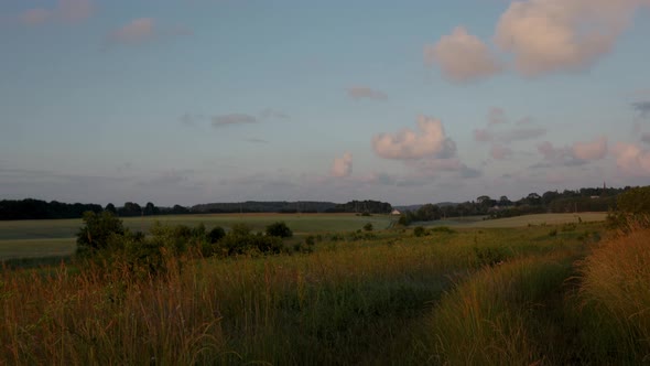 Time Lapse Meadow