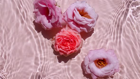 Pink Rose Flowers on Water Surface and of Waves on Pink Background