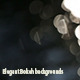 Magnificent Bokeh Pack - VideoHive Item for Sale