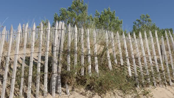 Border fence and pines to the sea made of wooden planks slow tilt 4K 3840X2160 UltraHD footage - Wal