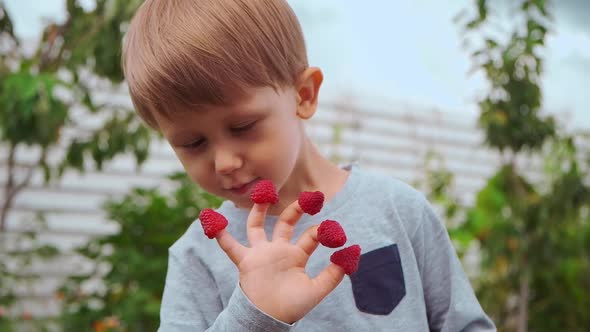 Happy Child 4 Years Old Holding Hands on Fingers and Eating Raspberries in Backyard