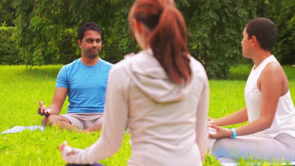 Group of People Doing Yoga at Summer Park