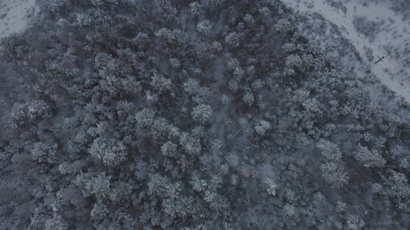 Grown in ski trails and defunct lift near the top of a snow crusted mountain AERIAL TOPDOWN