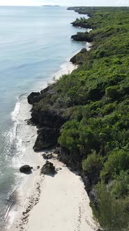 Zanzibar Tanzania  Ocean Shore Covered with Green Thickets Vertical Video