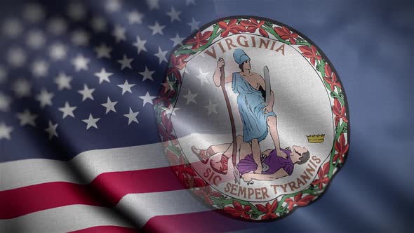Virginia State Usa Mixed Flag Close Up HD
