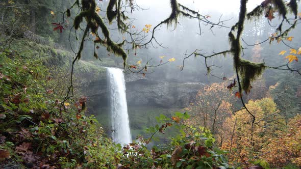 Waterfall and greenery