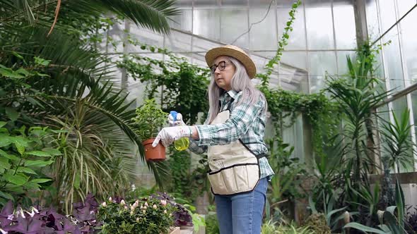 Woman in Straw Hat and Workwear Working in the Wonderful Greenhouse and Spraying Flowers
