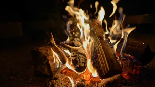 Wood Burning in Fire of Bonfire. Yellow and Blue Flames Moving. Slow Motion Shot