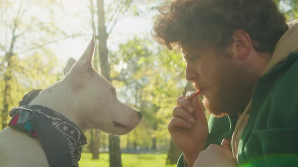 Lovely Dog Eating from Mouth of Owner