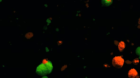 Orange and Green Volumetric Fluorescent Particles Move and Change on a Black Moving Background