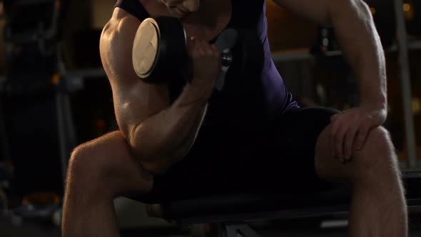 Handsome Bodybuilder Lifting Heavy Dumbbell in Gym, Active Workout and Sports