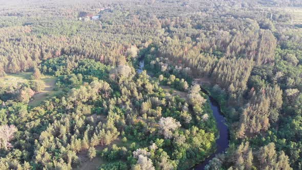 Aerial View of Riverbed Between Pine Forest. River Near Tops of Green Trees