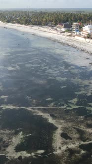 Vertical Video of Low Tide in the Ocean Near the Coast of Zanzibar Tanzania