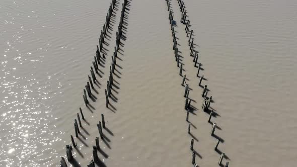 Aerial View of the Pink Uninhabited Salt Lake the Crimean Peninsula