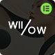 Preview icon