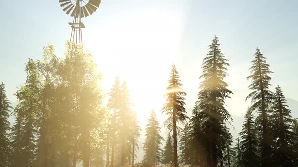 Typical Old Windmill Turbine in Forest at Sunset alt