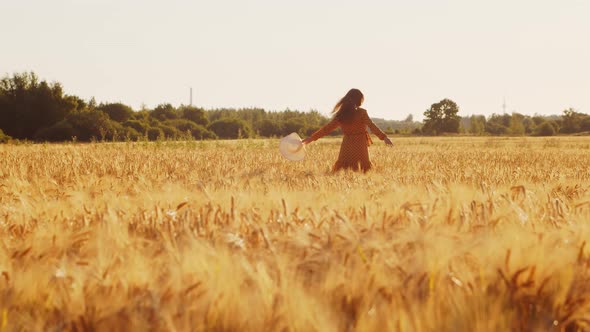 Pregnant woman in the rays of the sunset in the field