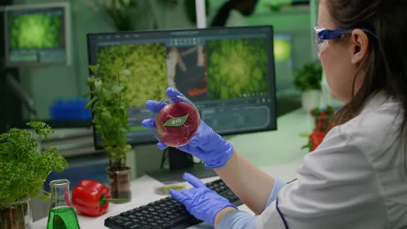 Chemist Researcher Holding Petri Dish with Vegan Meat in Hands