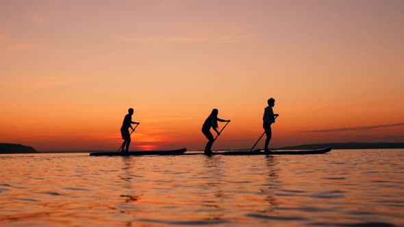 Three Athletes Training with Paddleboards on Sunset Background.