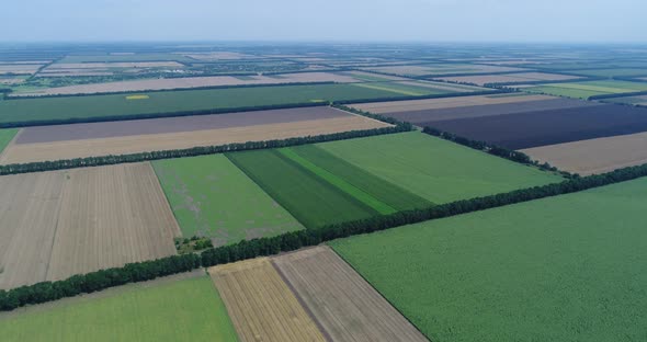 aerial shot of fields with various types of agriculture