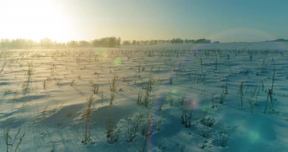 Aerial Drone View of Cold Winter Landscape with Arctic Field Trees Covered with Frost Snow and