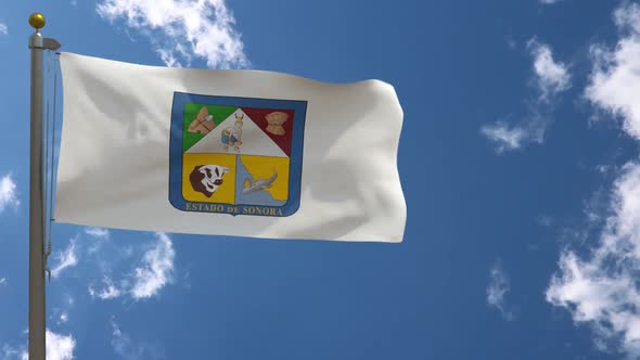Sonora Flag (Mexico) On Flagpole