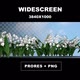 White Flowers Growing - VideoHive Item for Sale