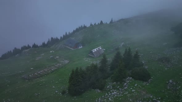 Fog On The Hill On A Mystic Spring Morning