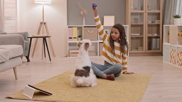 Girl Training and Playing with Dogs