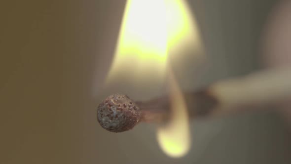 Burning Match. Close-up. Macro. Slow Motion