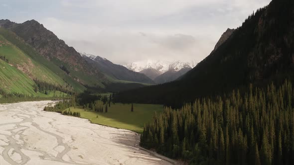 Mountains and trees