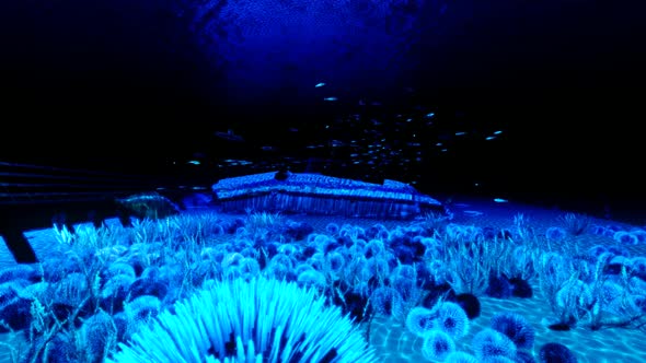 Passenger Plane Falling into the Ocean alt