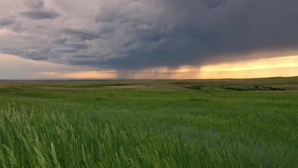 Storm moving over the plains as grass blows in the breeze